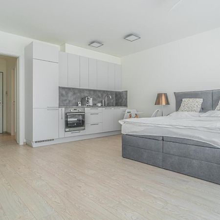 פראג Apartment Karel With Garage Parking מראה חיצוני תמונה