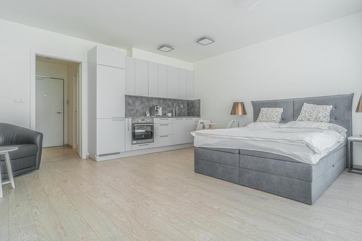 פראג Apartment Karel With Garage Parking מראה חיצוני תמונה