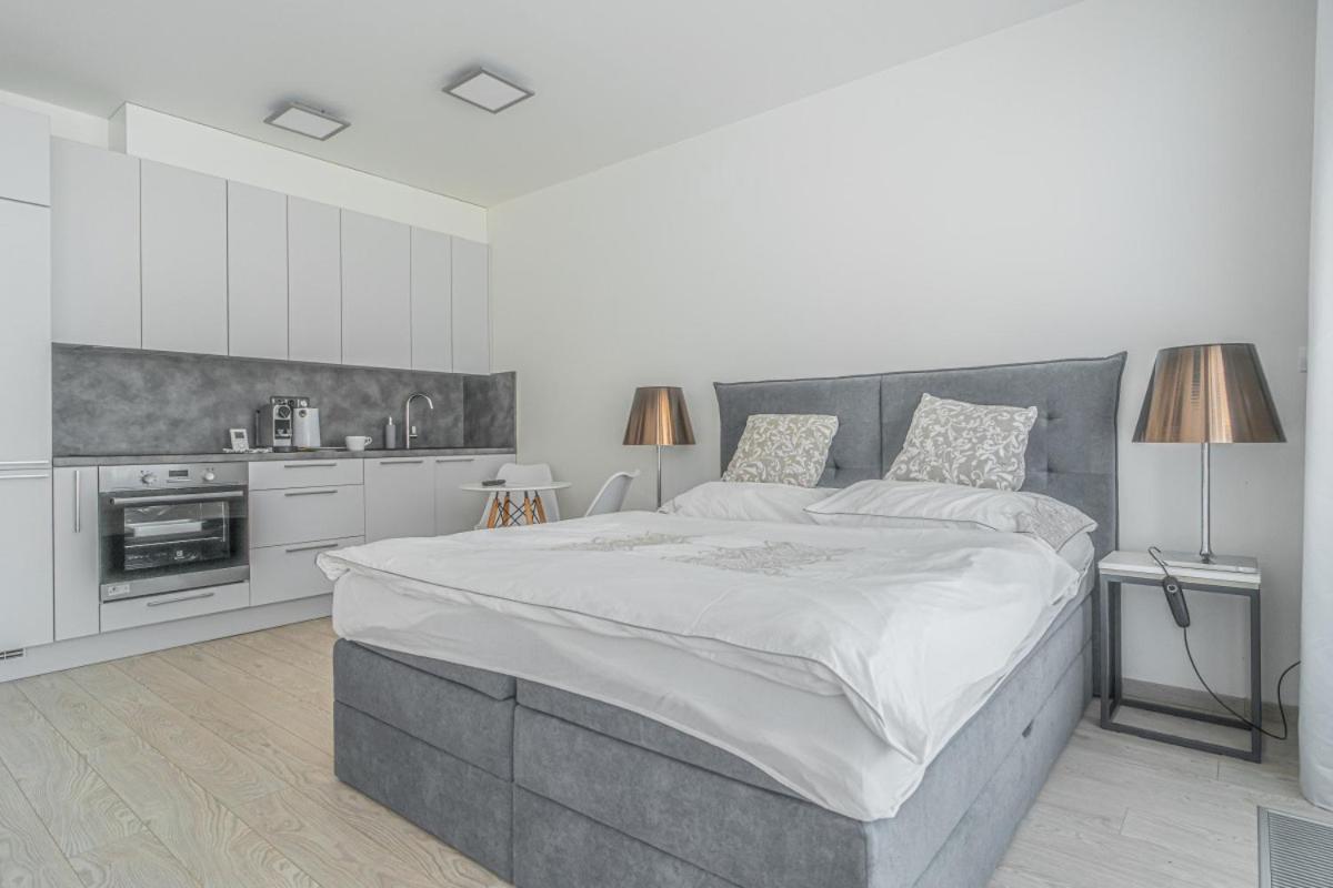 פראג Apartment Karel With Garage Parking מראה חיצוני תמונה