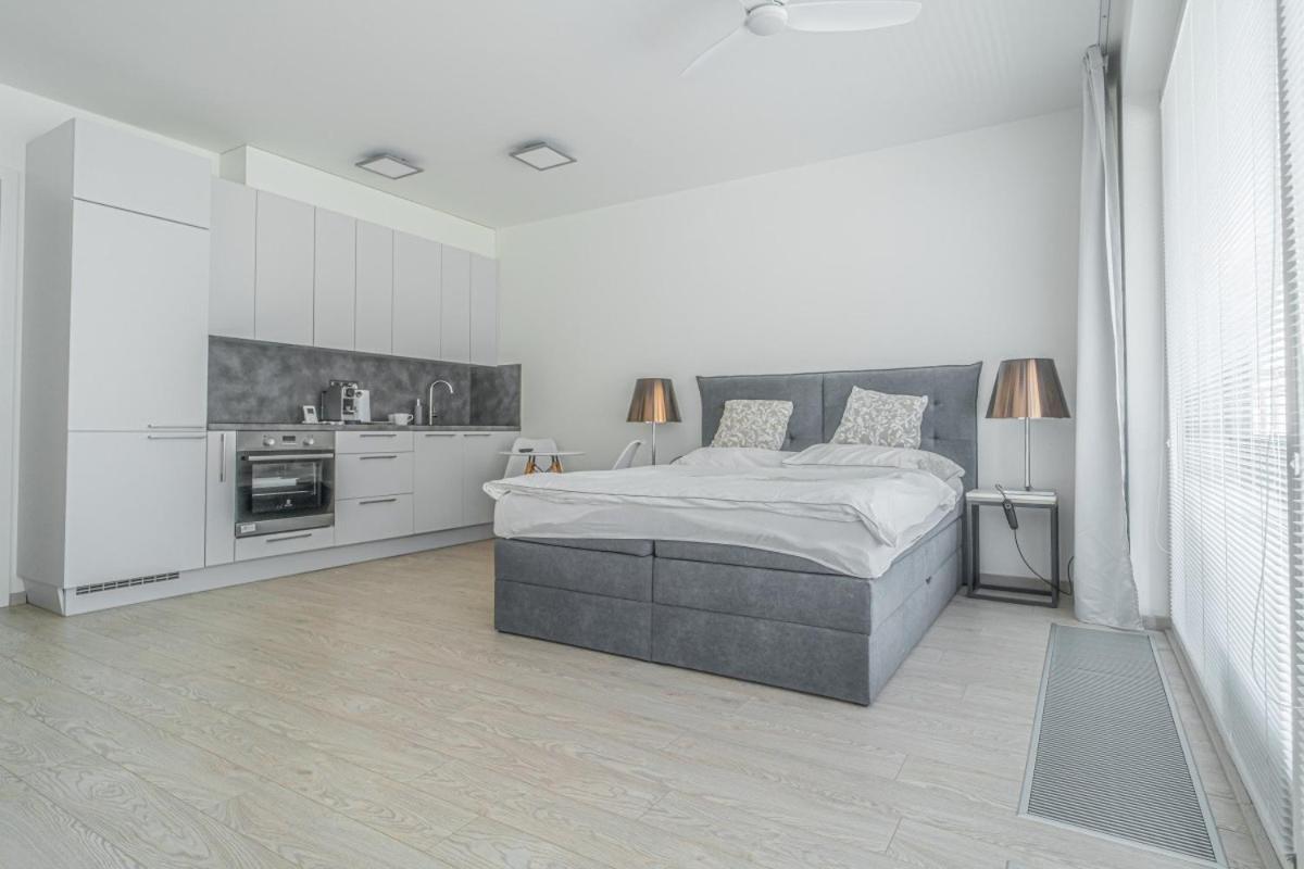פראג Apartment Karel With Garage Parking מראה חיצוני תמונה