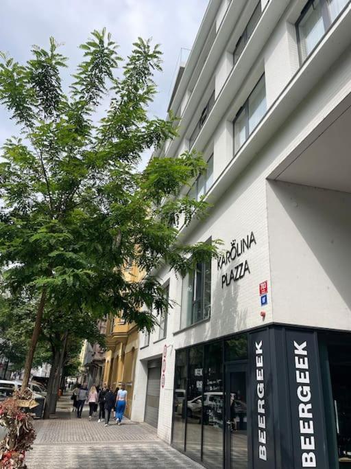 פראג Apartment Karel With Garage Parking מראה חיצוני תמונה